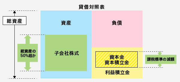 特殊会社の特例措置